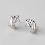 Silver Dakota Twisted Earrings